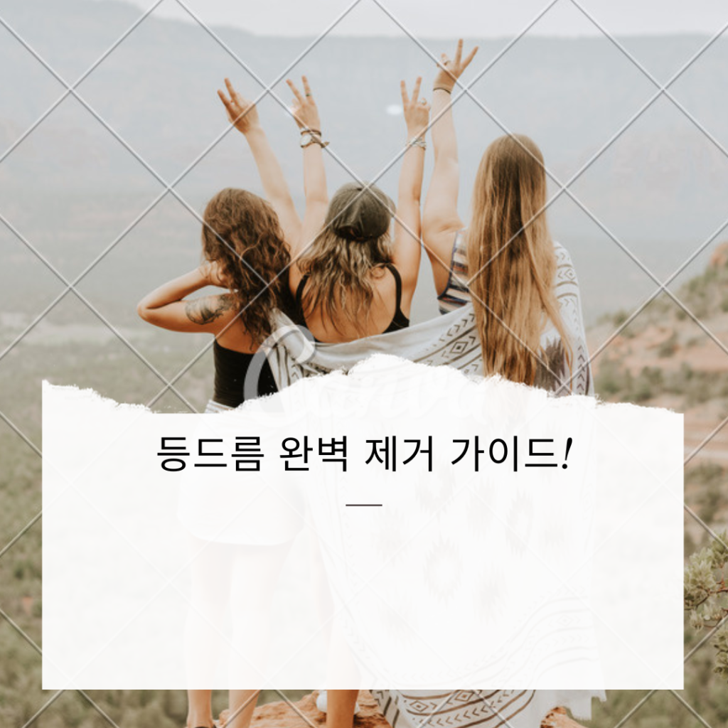 등드름 완벽 제거 가이드! 깨끗하고 매끄러운 피부를 위한 전략